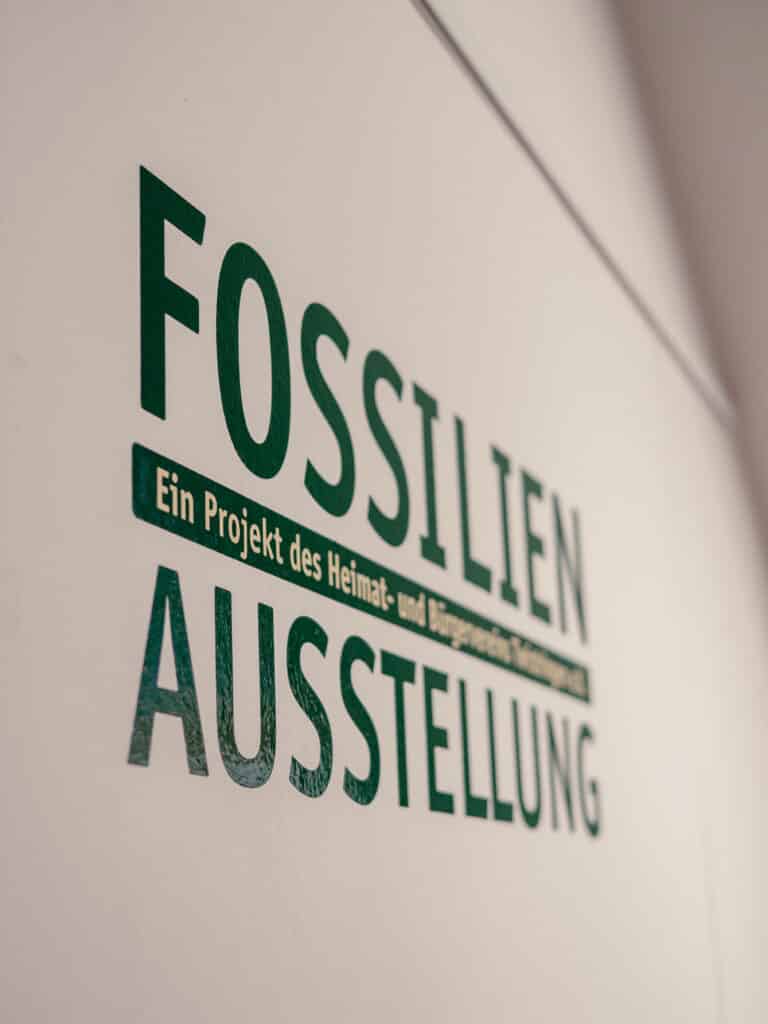 reportage fossiliengrube 092023 75