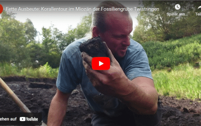 Fette Ausbeute: Korallentour im Miozän der Fossiliengrube Twistringen