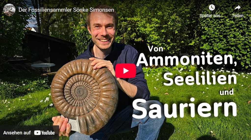 Der Fossiliensammler Sönke Simonsen