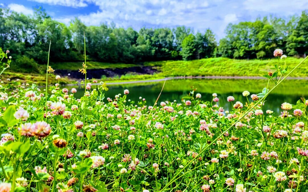 SAISONSTART FossilienGrube