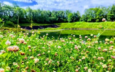 News & Infos 1 SAISONSTART FossilienGrube