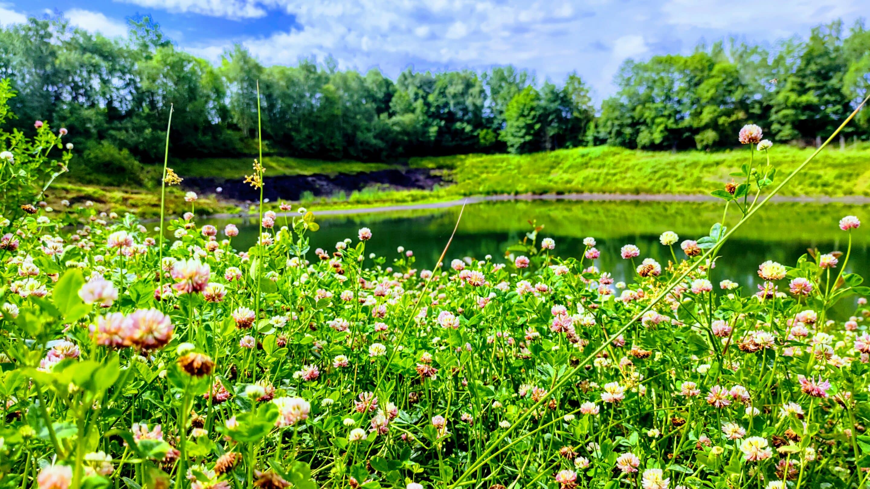 Saisonstart FossilienGrube 2026 scaled