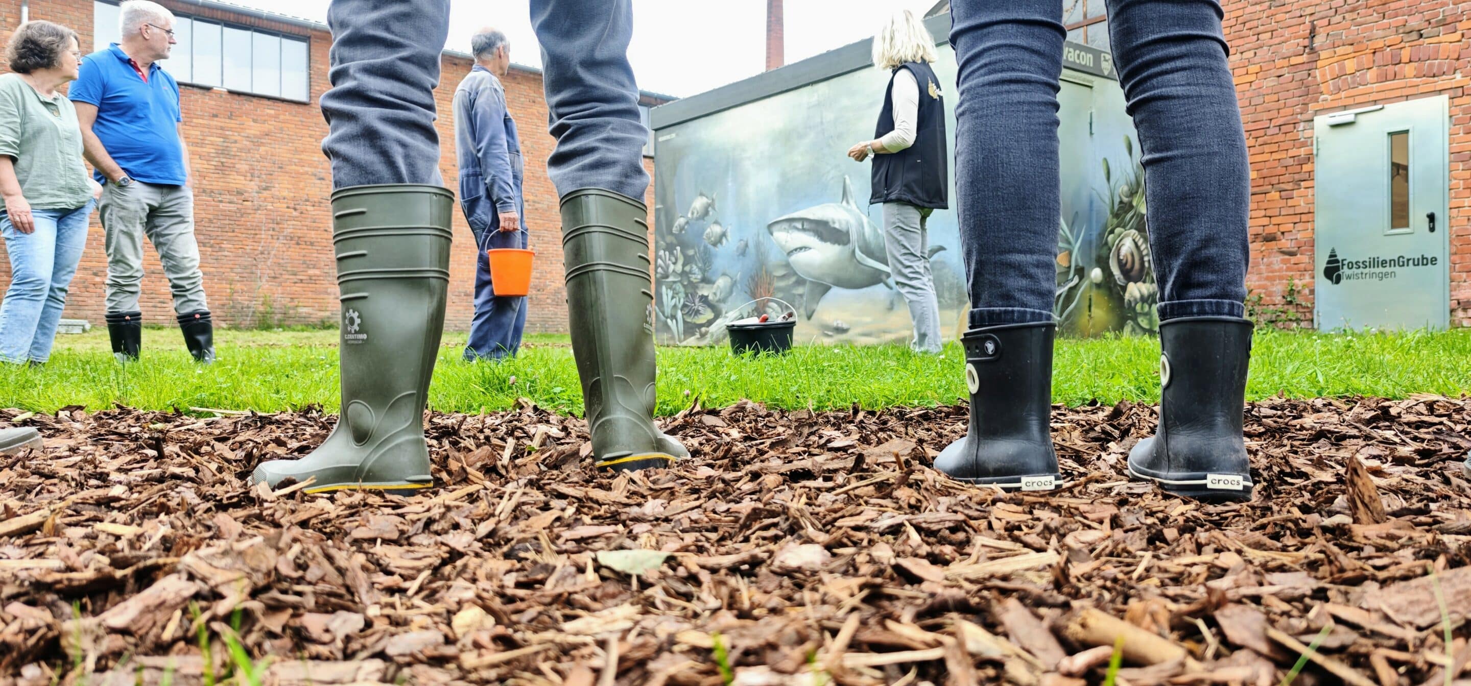 JETZT ANMELDEN! - URZEIT ZUM ANFASSEN 1 URZEIT ZUM ANFASSEN – kostenfreier Vortrag und Führung „Fenster zur Urzeit“